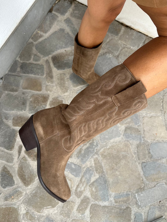 TEXANO CAMOSCIO TORTORA