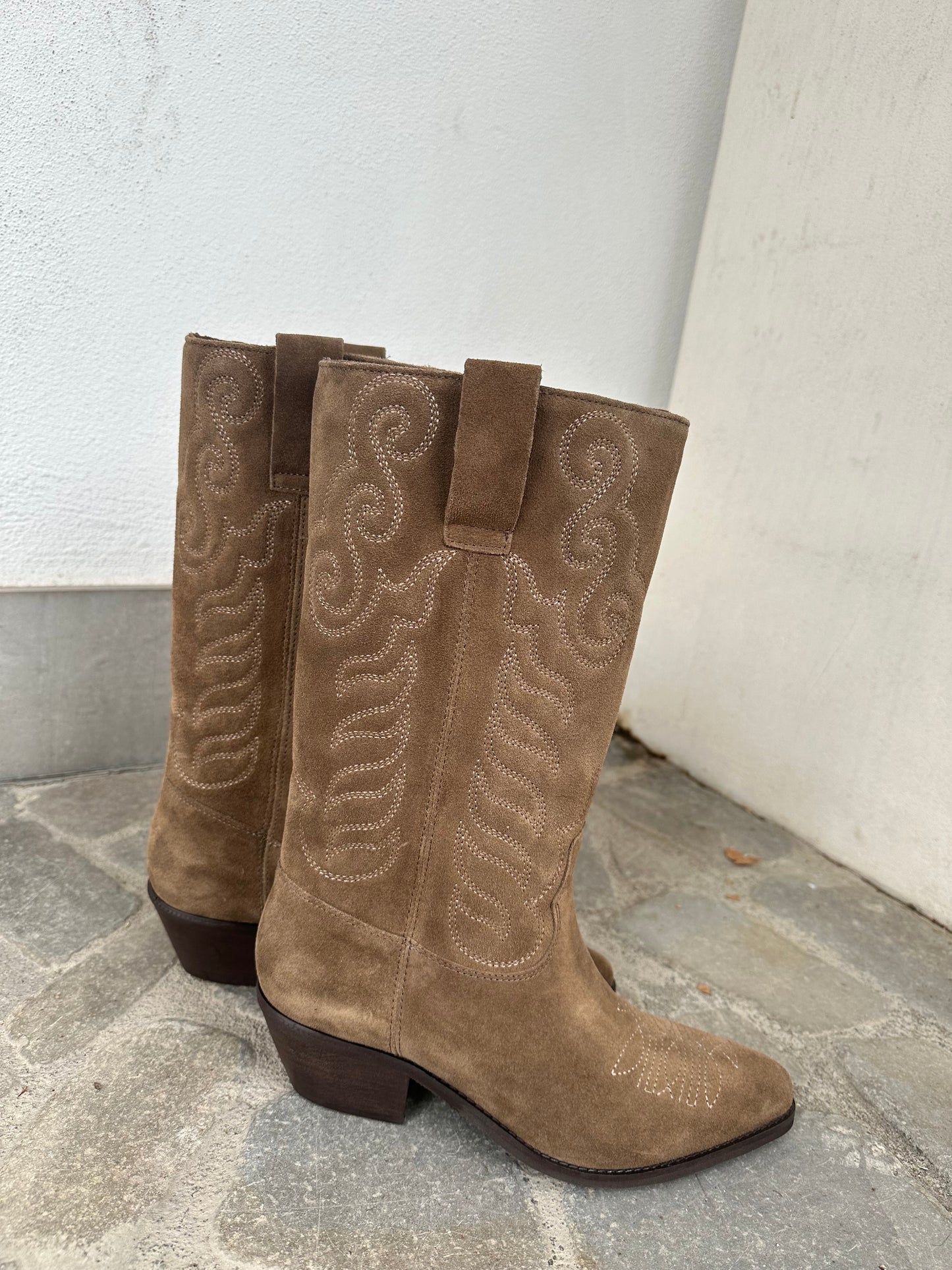 TEXANO CAMOSCIO TORTORA