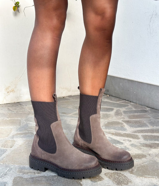 BEATLES CAMOSCIO TORTORA